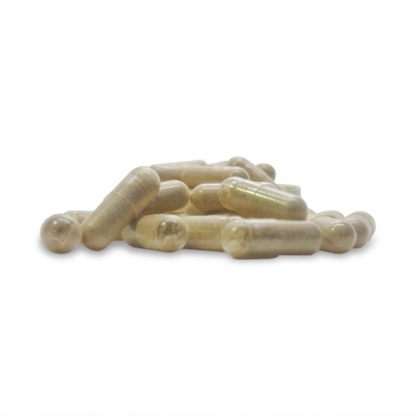 Buy Mega Dose Blend Capsules Online