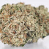Buy Gorilla Glue Online