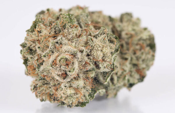 Buy Gorilla Glue Online
