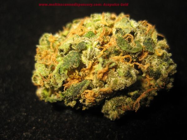 Buy Acapulco Gold Kush Online