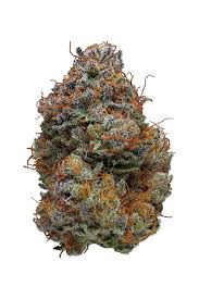 Black berry Kush