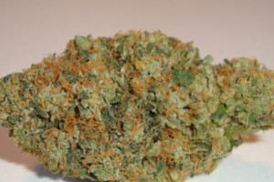 Buy Bubble Gum Online