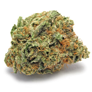 Buy Cherry Pie Online