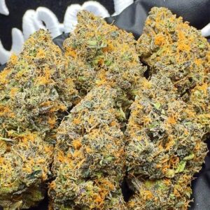 Gelato