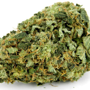 Hindu Kush
