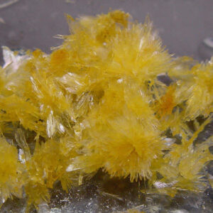 Buy DMT crystals
