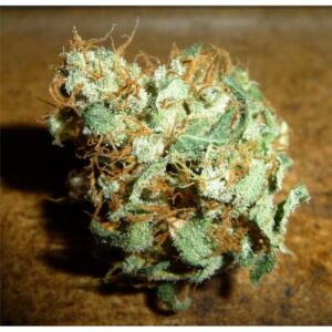 Silver Skunk