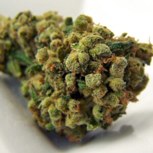 Sour Diesel