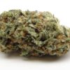 Trainwreck
