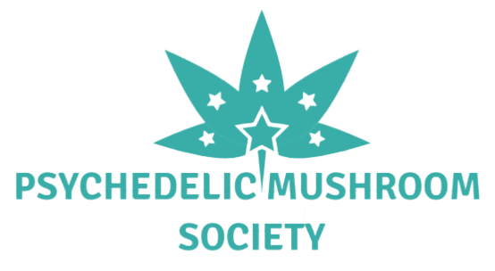 Buy Psychedelic Mushroom Online In USA